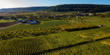 DOMAINE DE MUZY - Combres-sous-les-Côtes