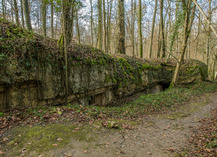 HÔPITAL ALLEMAND DE LA FORÊT DE GOBESSART - Apremont-la-Forêt