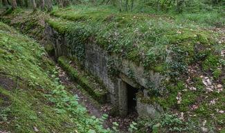 BOIS D'AILLY - TRANCHÉE DE LA SOIF - Han-sur-Meuse