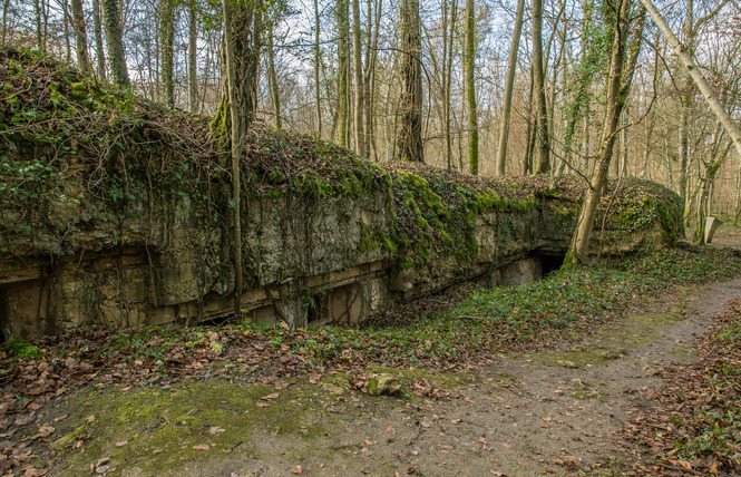 HÔPITAL ALLEMAND DE LA FORÊT DE GOBESSART 1 - Apremont-la-Forêt