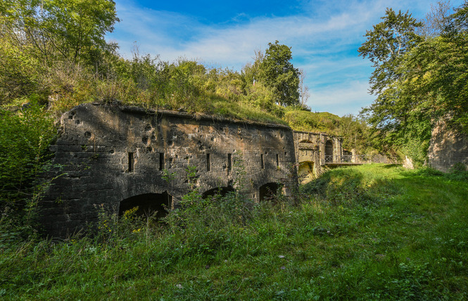 FORT DE LIOUVILLE 3 - Apremont-la-Forêt