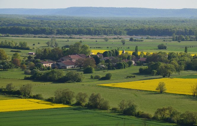 GÎTE LA GLYCINE 6 - Lachaussée