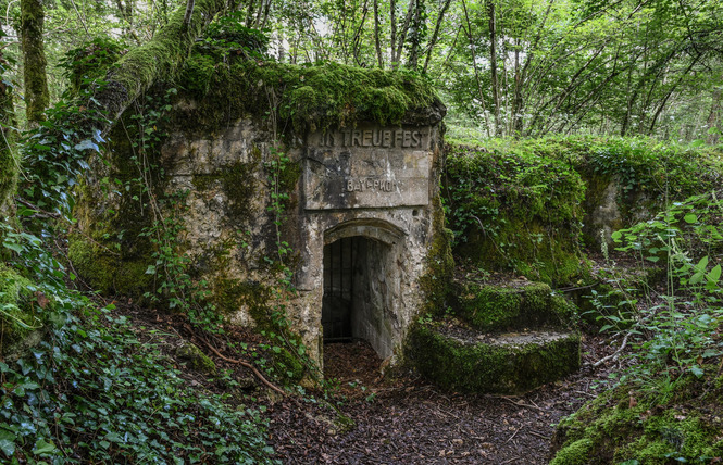 TRANCHÉES DES BAVAROIS ET DE ROFFIGNAC 1 - Apremont-la-Forêt