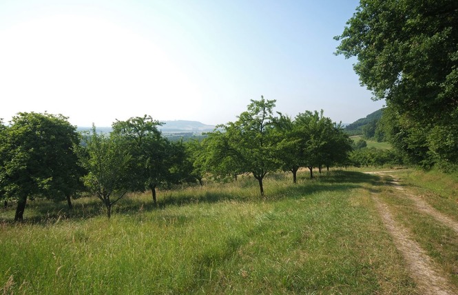 LES COTES DE MEUSE 1 - Vigneulles-lès-Hattonchâtel