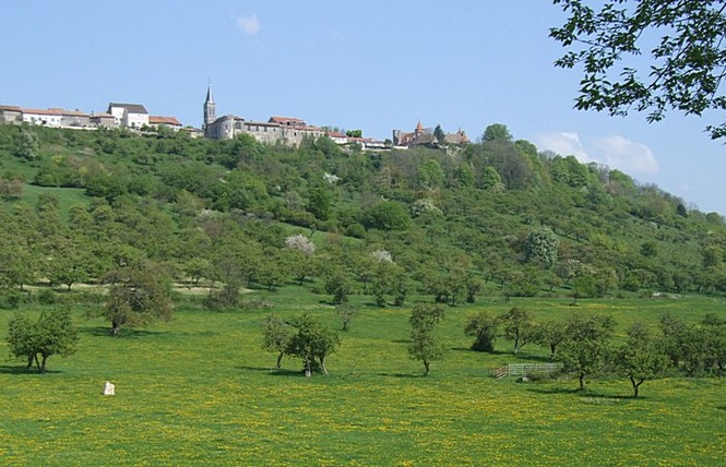 LES COTES DE MEUSE 5 - Vigneulles-lès-Hattonchâtel