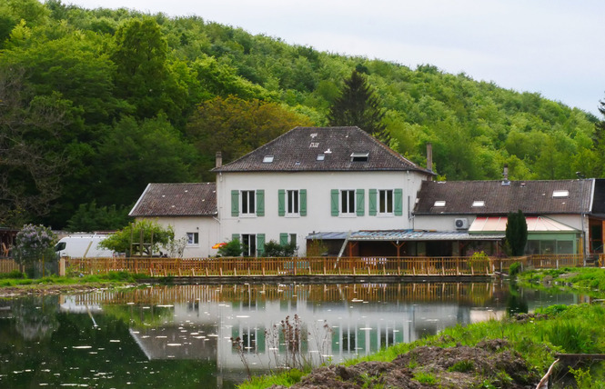 PISCICULTURE DE L'ÉCART 3 - Lacroix-sur-Meuse